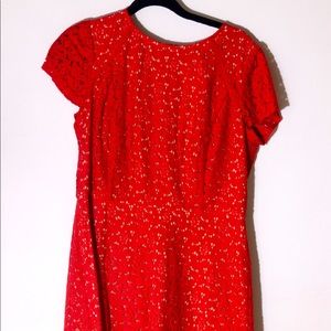 Ann Taylor Loft Women’s Size 10 Dress